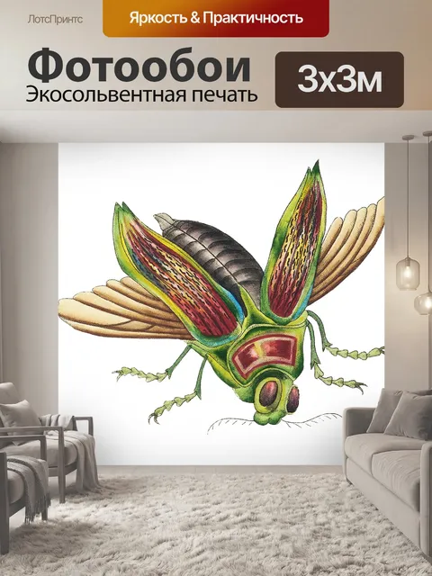 Фотообои Кузнечик крикет арт винтаж