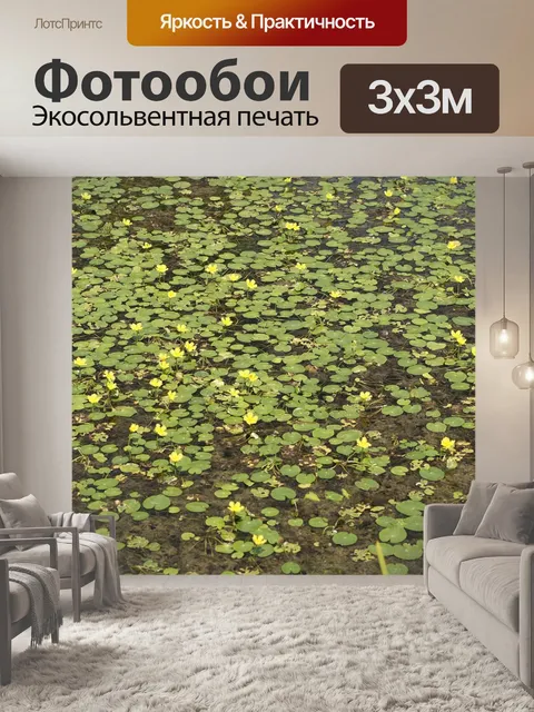 Фотообои Озеро