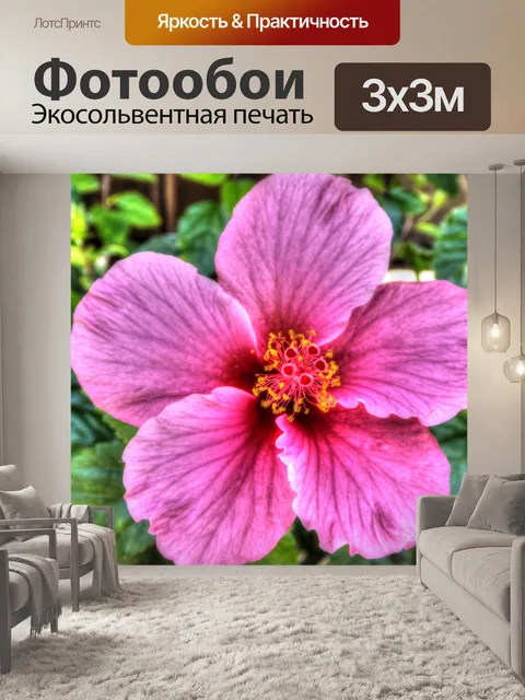 Фотообои Розовый цветок гибискуса