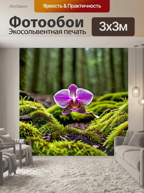 Фотообои орхидея, растущая среди мха в лесу
