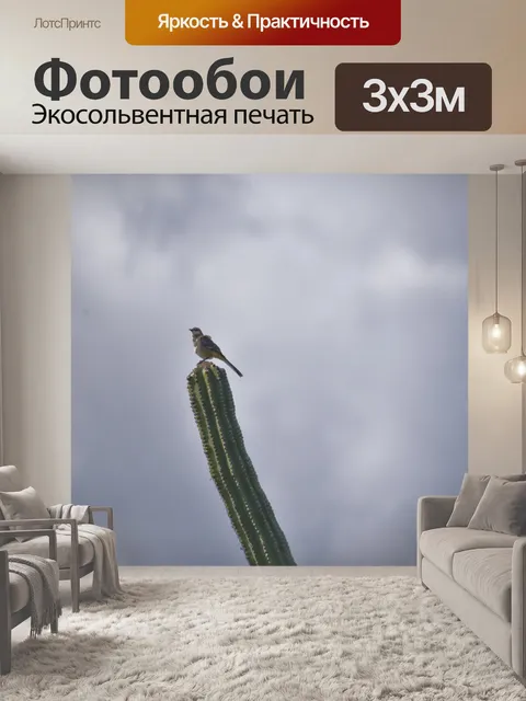 Фотообои Птица кактус