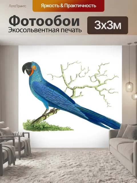 Фотообои Попугай птица старинное искусство