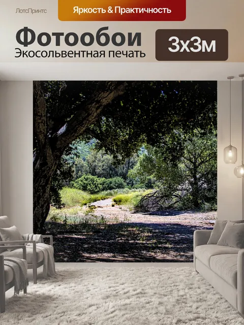 Фотообои Тенистое дерево и грязная дорожка