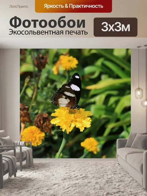 Фотообои Желтые бархатцы и бабочка