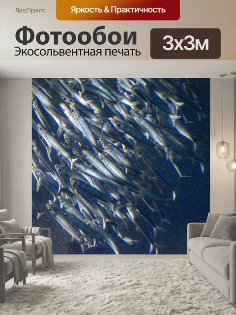 Фотообои рыба