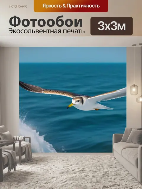 Фотообои чайка, летящая над морем