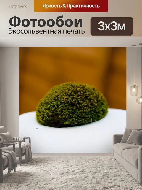 Фотообои мох