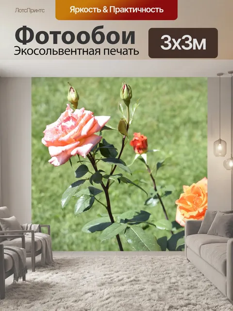 Фотообои Две розы