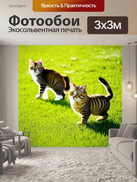 Фотообои коты, резвящиеся на зелёной лужайке под солнцем