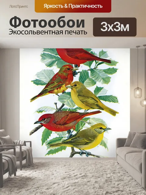 Фотообои Винтажные иллюстрации зябликов