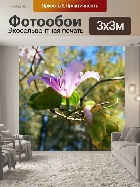 Фотообои нога цветения верблюда в розовый цвет