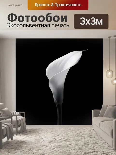 Фотообои Белоснежный цветок на черном фоне