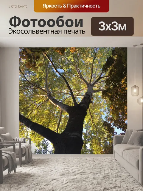 Фотообои Дерево