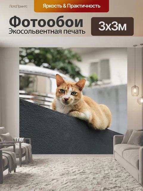 Фотообои Кошка