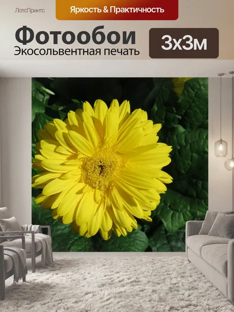 Фотообои Желтый