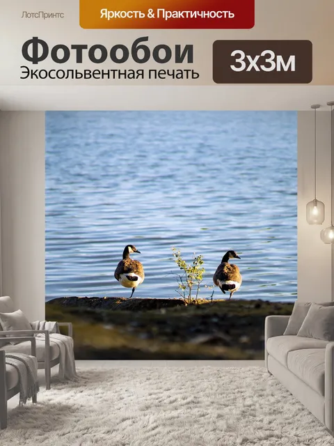 Фотообои Пара