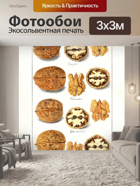 Фотообои Грецкий орех винтажное искусство
