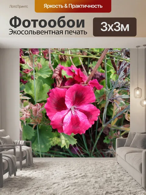 Фотообои Розовая герань 3