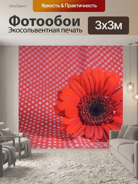 Фотообои Карта