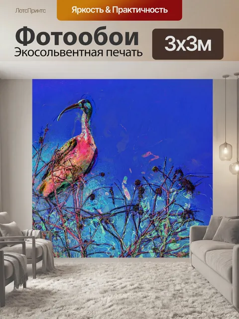 Фотообои Ибис Берд