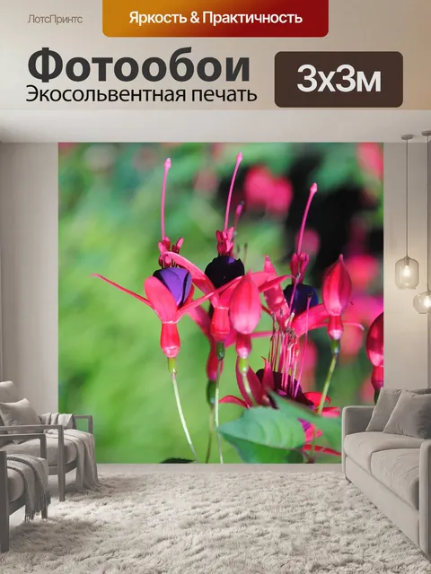 Фотообои Розовый цвет