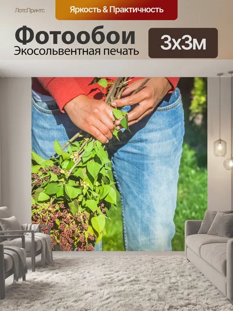 Фотообои Букет сирени