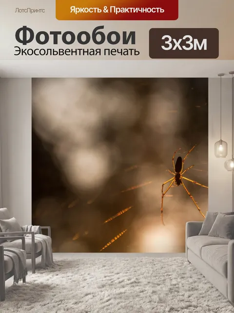 Фотообои Паук