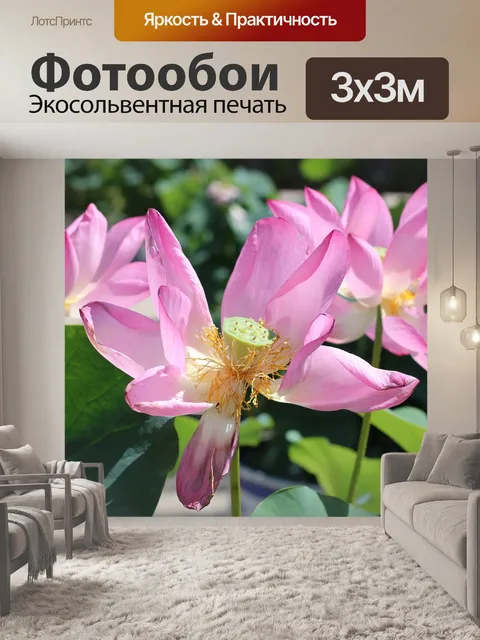 Фотообои Lotus