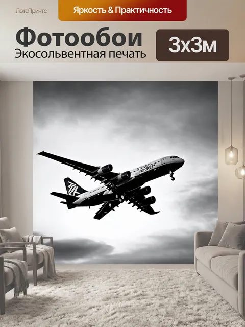 Фотообои самолет в черно-белом стиле, взлетающий на фоне вечернего неба с облаками