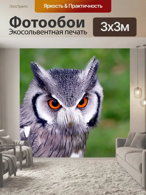Фотообои южная белая сова