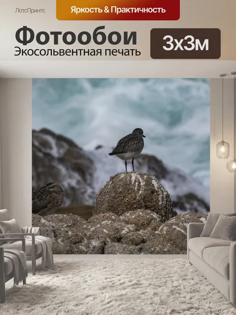 Фотообои черный поворотный камень