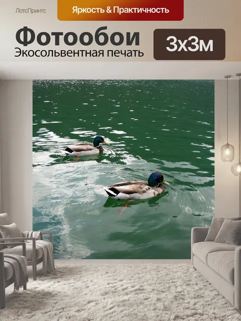 Фотообои Утки