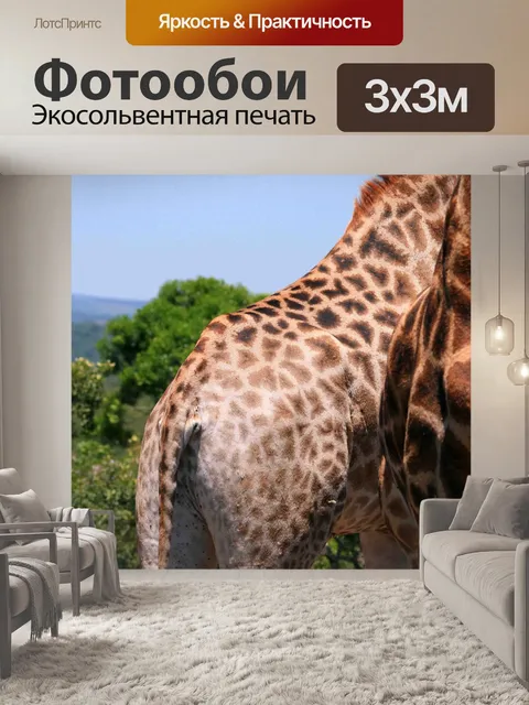 Фотообои узоры на взрослого и молодого жирафа