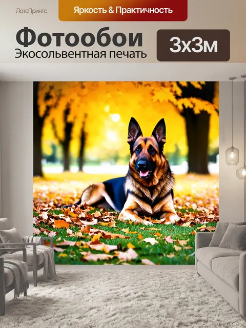 Фотообои в спокойном парке, среди падающих листьев, старая немецкая овчарка уютно расположилась на траве