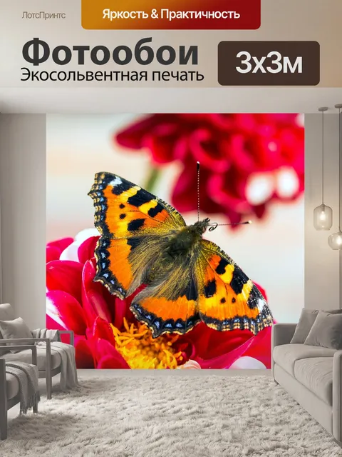 Фотообои Бабочка