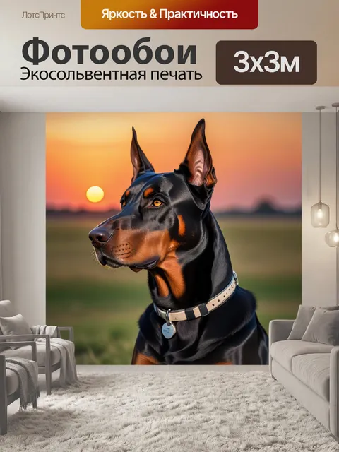 Фотообои доберман на фоне заката