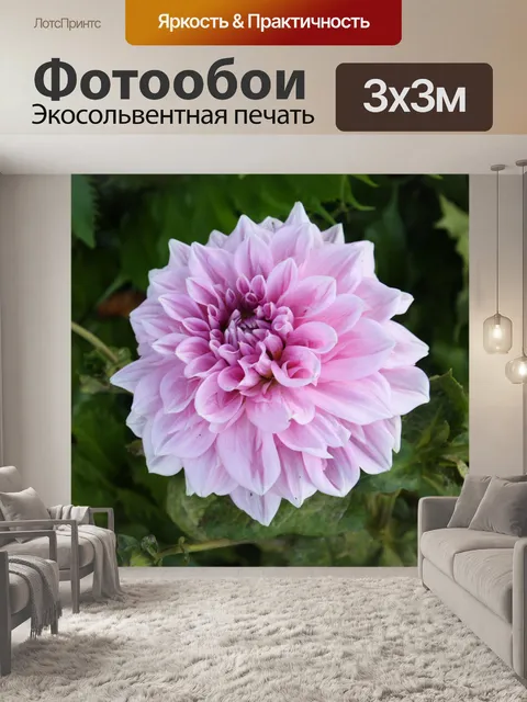 Фотообои Purple-розовый цветок цветы