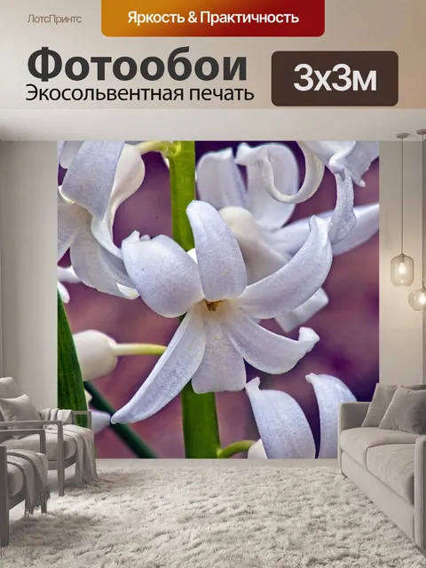 Фотообои Белый гиацинт в арканзасе