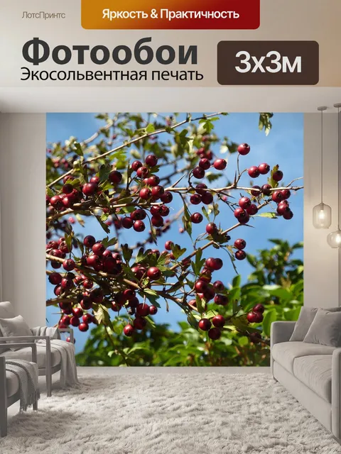 Фотообои Ягоды