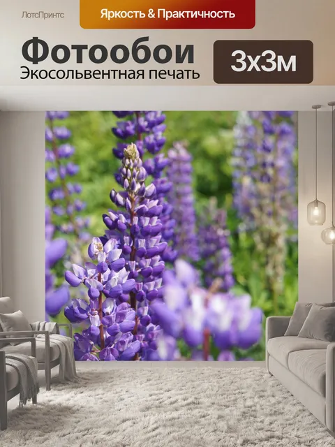 Фотообои Люпин
