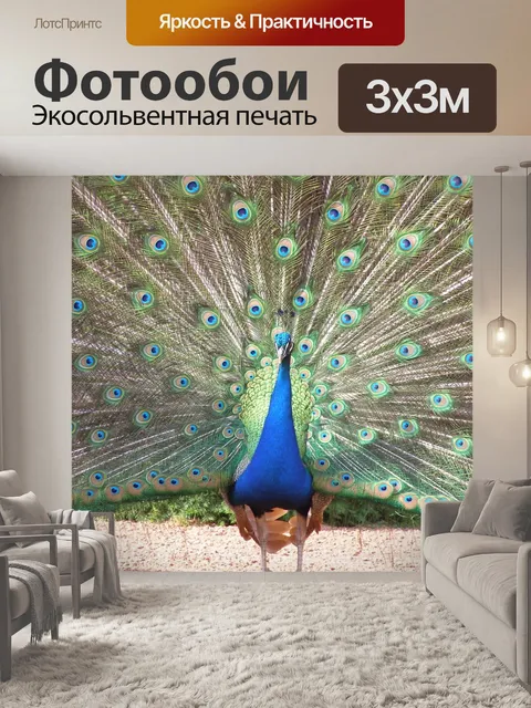 Фотообои Павлин