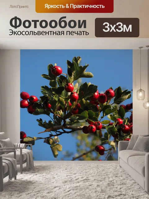 Фотообои Ягода
