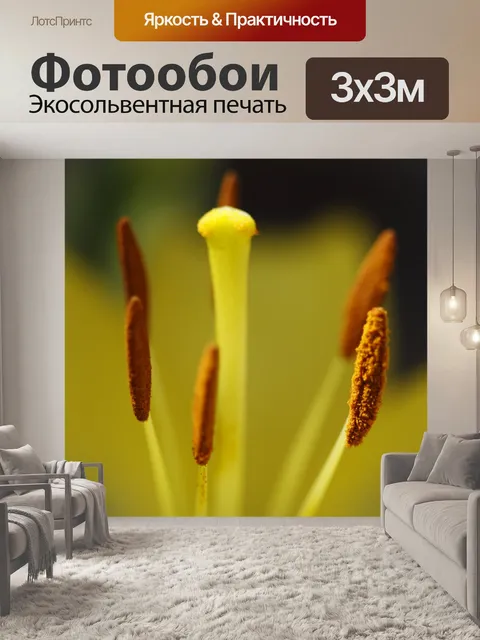 Фотообои Пыльники и Стигма