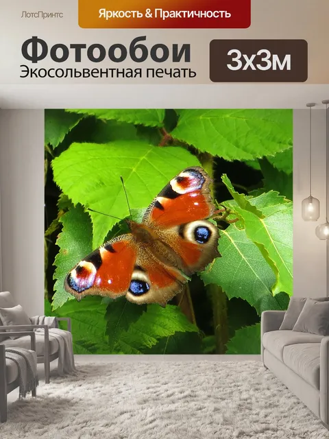 Фотообои Бабочки