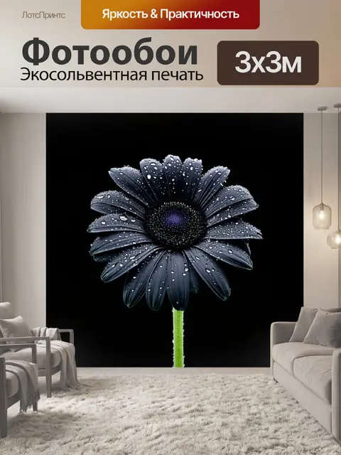 Фотообои черный цветок на черном фоне