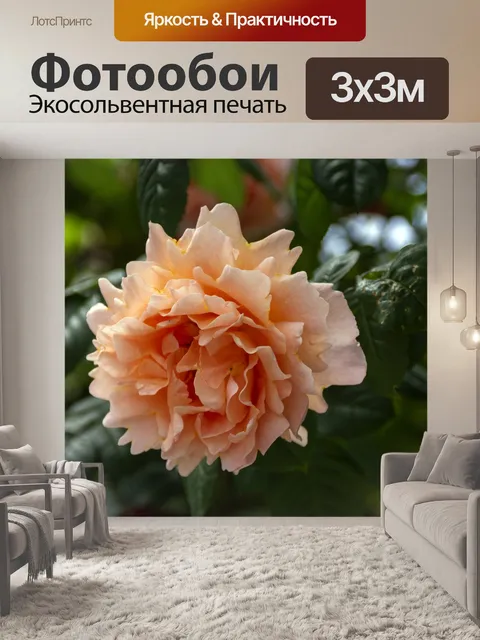 Фотообои Персиковая роза