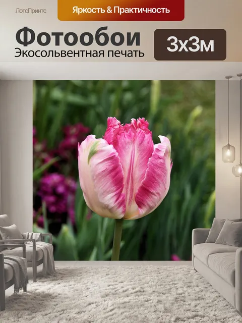 Фотообои Тюльпан