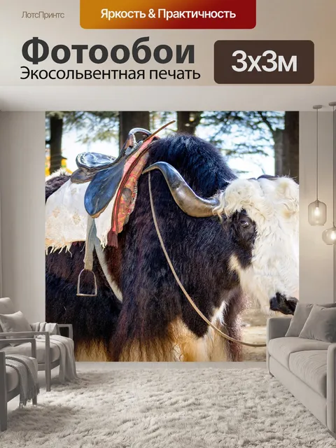 Фотообои Манали