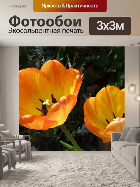 Фотообои Цветы