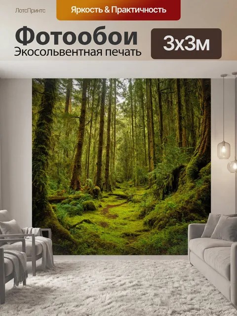 Фотообои зачарованный лес в новой зеландии